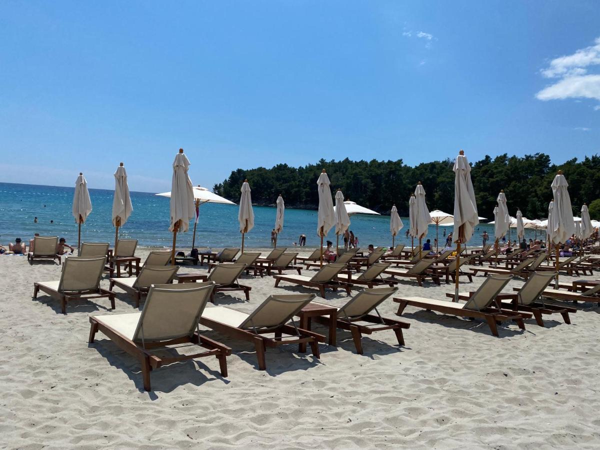 Apartments Villa Viktoria Tivat Exteriör bild